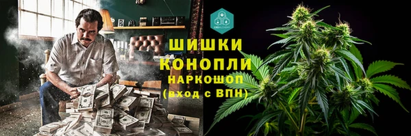 сатива Мегион