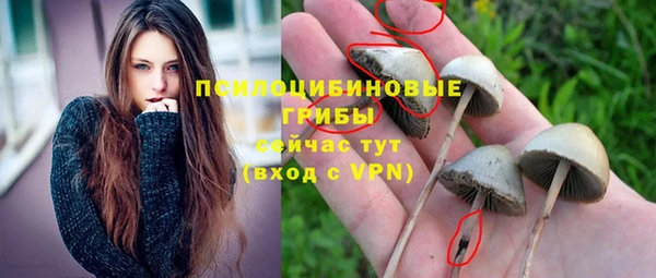 мдпв Медвежьегорск